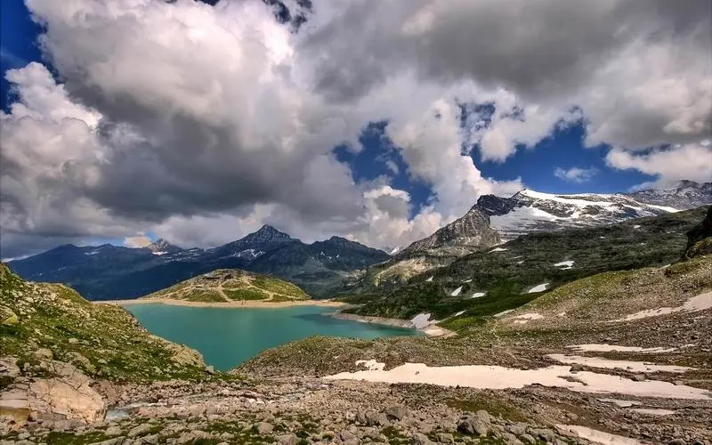 网络化智慧